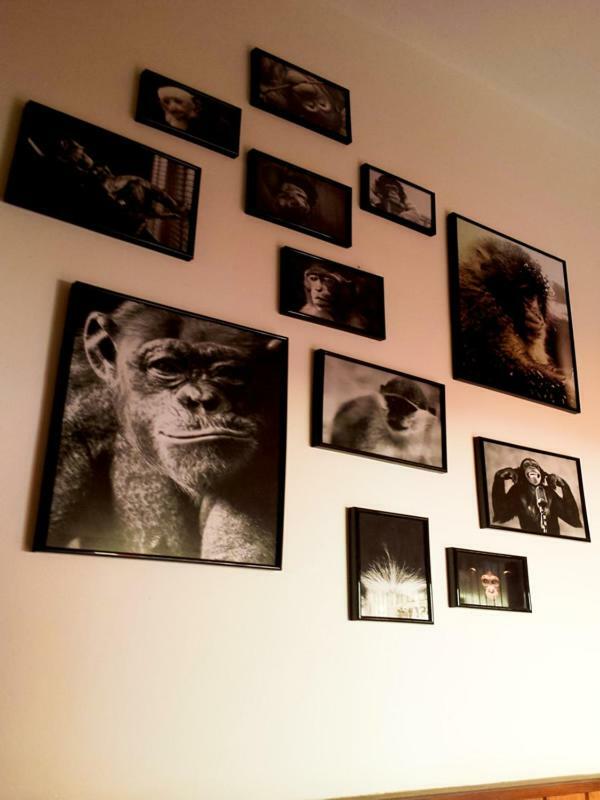 The Mellow Monkey Hostel 자다르 외부 사진